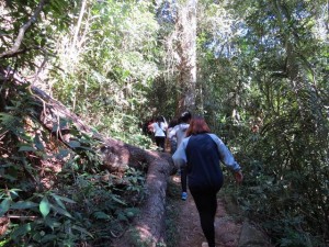 Colégio Notre Dame Ilha_Passeio de Colaboradores (2)